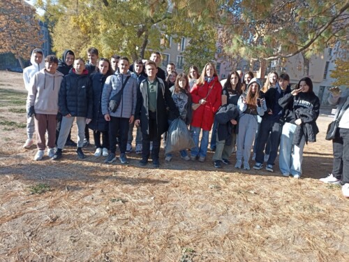 IMG 20241120 102105