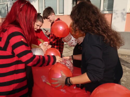 IMG 2782